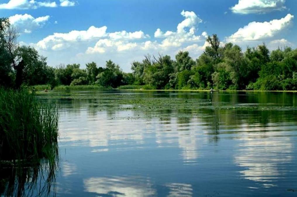 Family Complex Ekokomfort Sagunovka Dış mekan fotoğraf