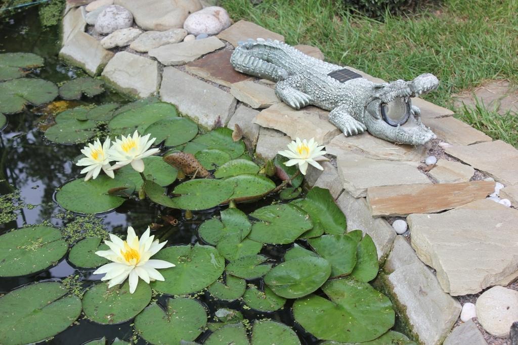 Family Complex Ekokomfort Sagunovka Dış mekan fotoğraf